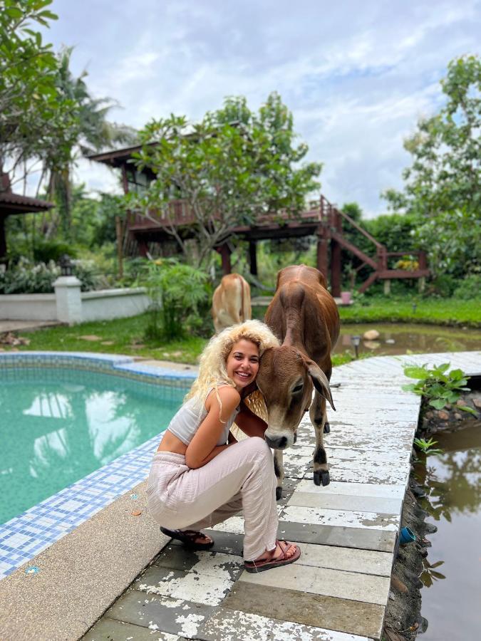 Shaya Homestay & Dorms Pai Esterno foto